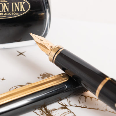 Platinum Classic Maki-e Crane Design Fountain Pen 18k gold nib