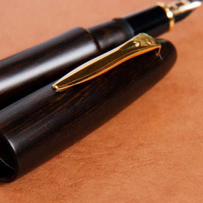 Platinum Izumo Bombay Black Wood Tagay Matte Finish Fountain Pen Wood Grain on Cap