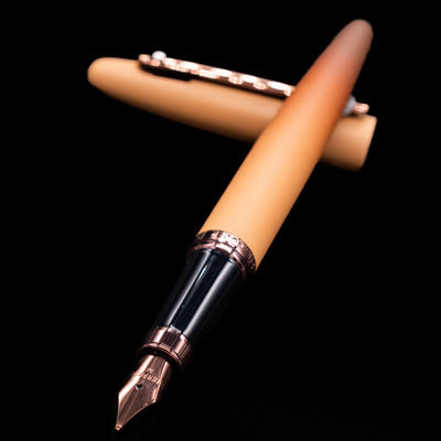 Sheaffer VFM Fountain Pen - Coffee (Special Edition) laying across its own cap, crossed, with a focus on the nib.