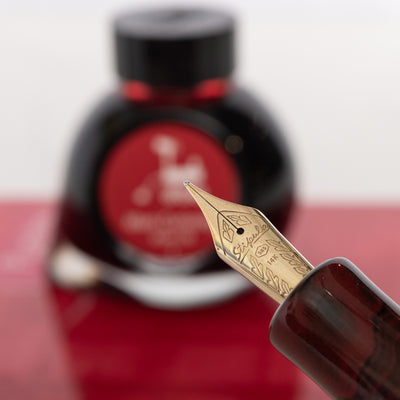 Stipula Leonardo da Vinci Strawberry Trail Ebonite Limited Edition Fountain Pen 14k gold nib