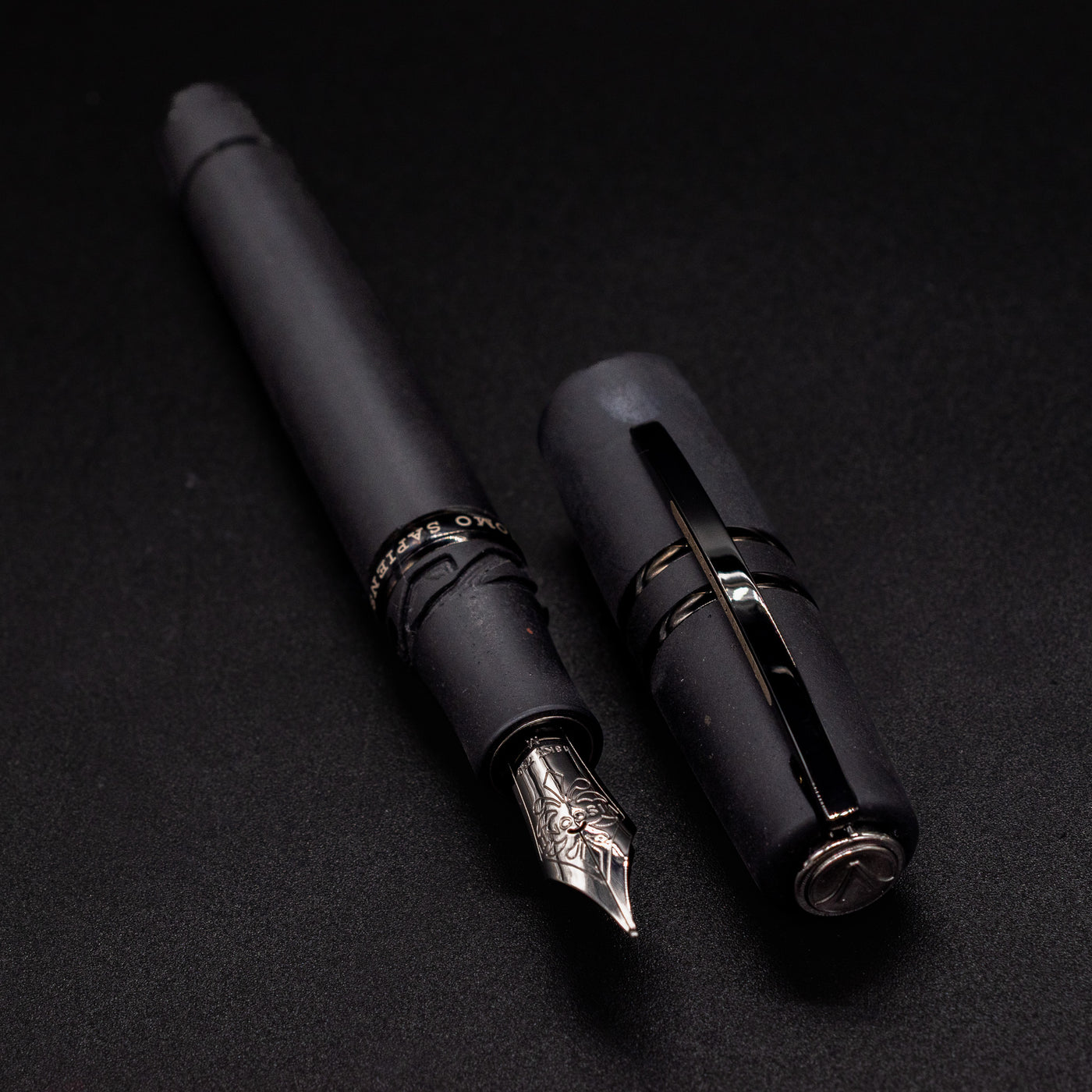 Visconti Homo Sapiens Dark Age Fountain Pen PVD trim