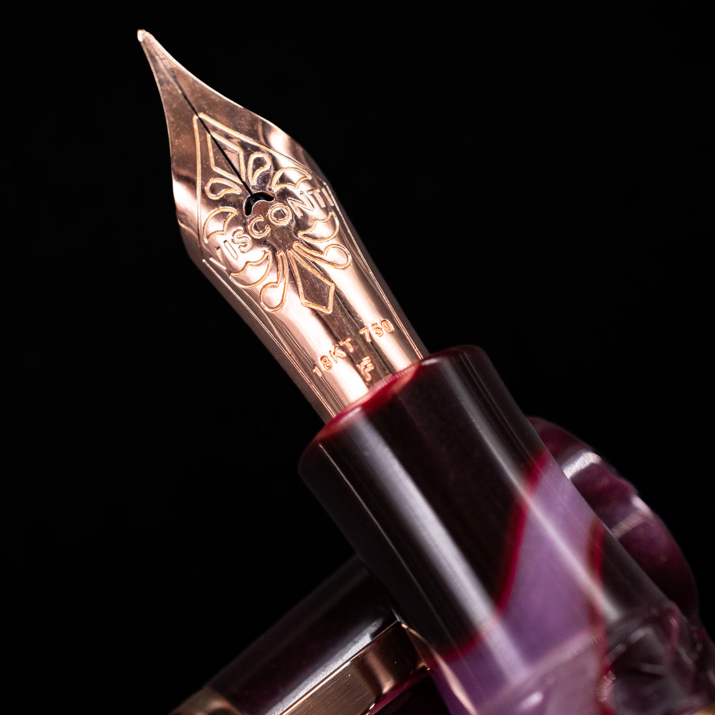  A macro shot of the nib with its intricate detailing and logo engraving for the Visconti Homo Sapiens Iris Garden Fountain Pen.