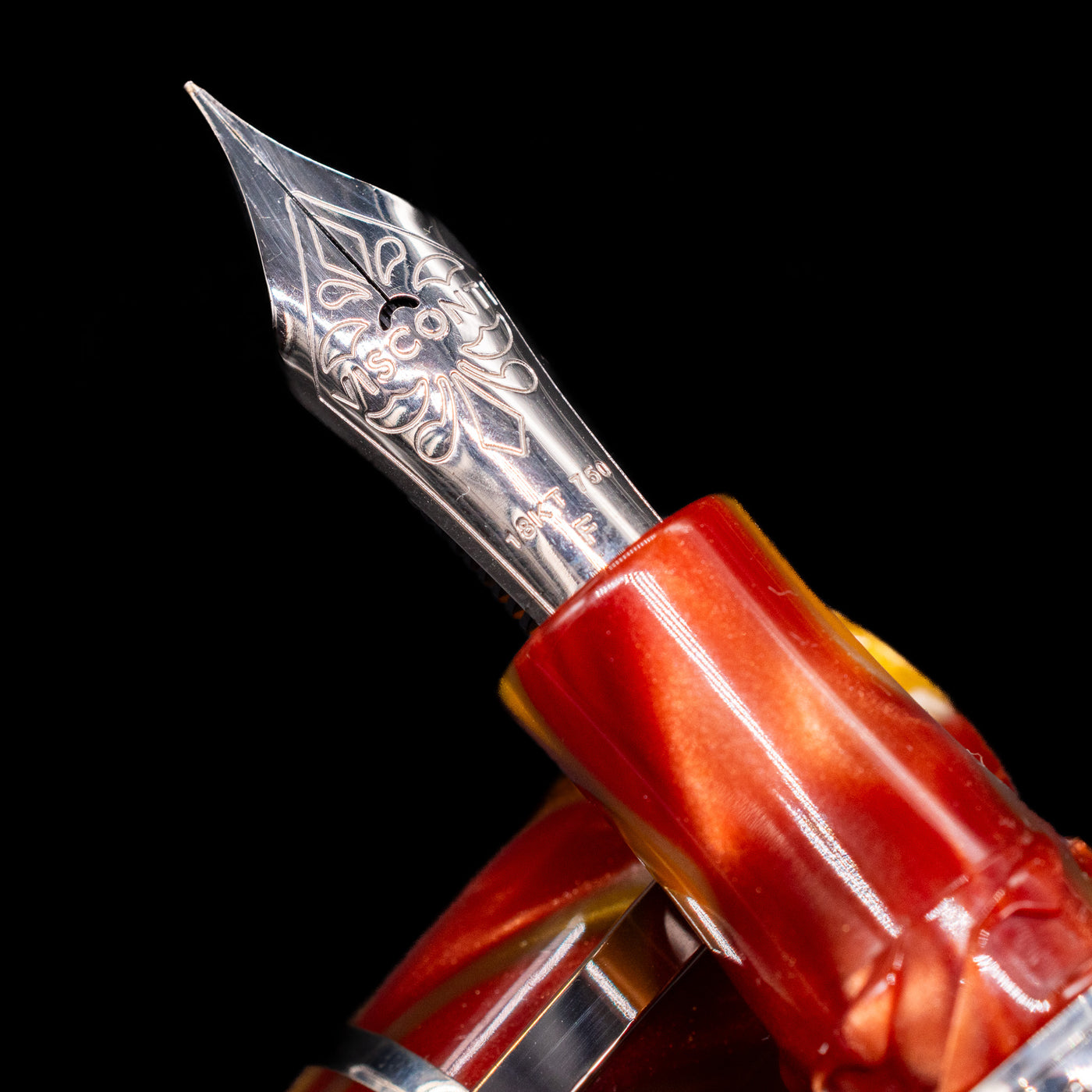 A macro shot of the nib with its intricate detailing and logo engraving for the Visconti Homo Sapiens Limited Edition Fountain Pen - Arizona Sunset.