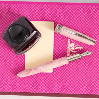 Visconti Van Gogh Souvenir de Mauve Fountain Pen silver trim