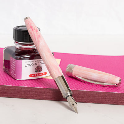 Visconti Van Gogh Souvenir de Mauve Fountain Pen
