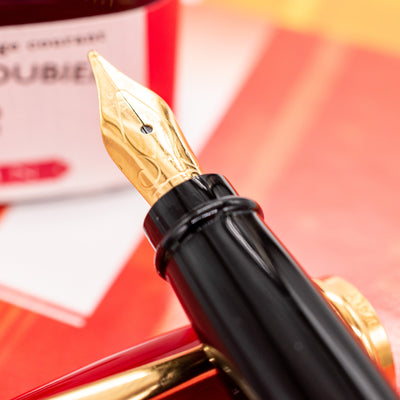 Aurora Ipsilon Resin Fountain Pen - Red nib