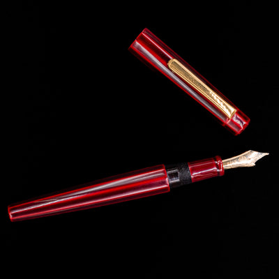 nakaya writer decapod st aka tamenuri fountain pen rare