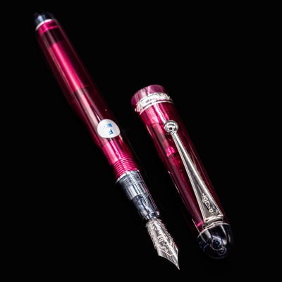 Disassembled Pilot Custom 74 Merlot fountain pen showing nib and cap side by side on black background