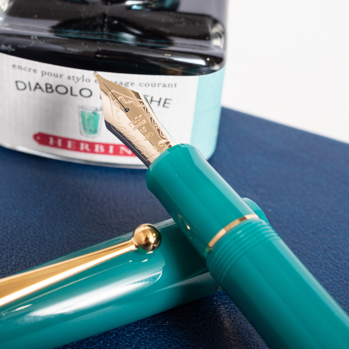 Pilot Custom 743 Verdigris Fountain Pen nib