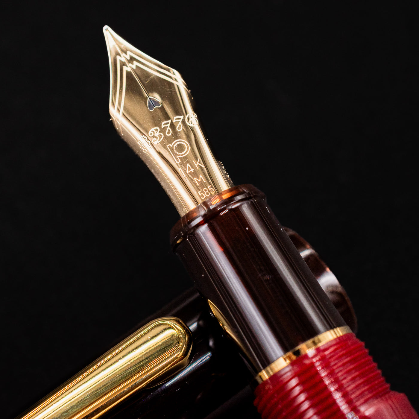 Detailed close-up of the 14k gold nib on the Platinum 3776 Century Coffee Jelly Fountain Pen
