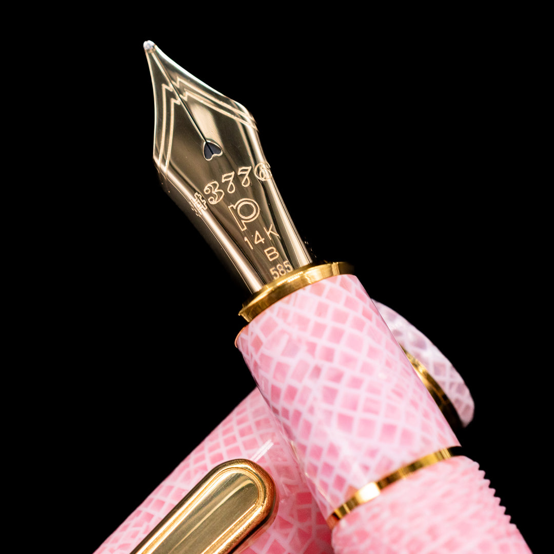 Platinum 3776 Century Celluloid Cherry Blossom Fountain Pen – Truphae