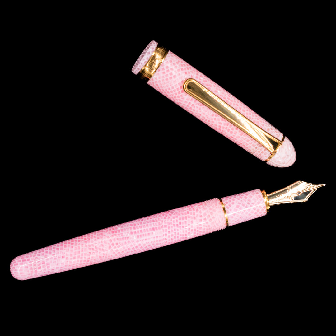 Platinum 3776 Century Celluloid Cherry Blossom Fountain Pen – Truphae
