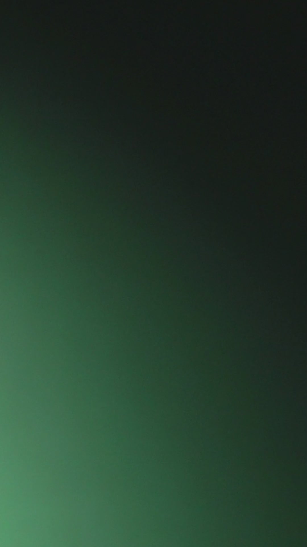 Nahvalur Nautilus Limited Edition Fountain Pen Day 2025 - Emerald