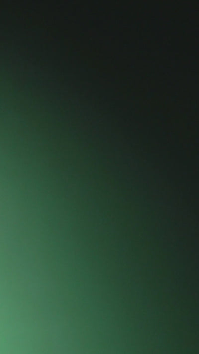 Nahvalur Nautilus Limited Edition Fountain Pen Day 2025 - Emerald