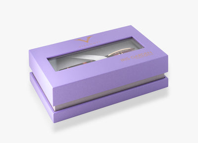 Visconti Homo Sapiens Iris Garden Fountain Pen box