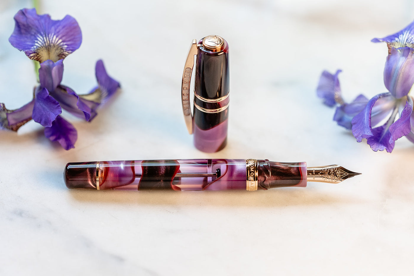 Visconti Homo Sapiens Iris Garden Fountain Pen floral