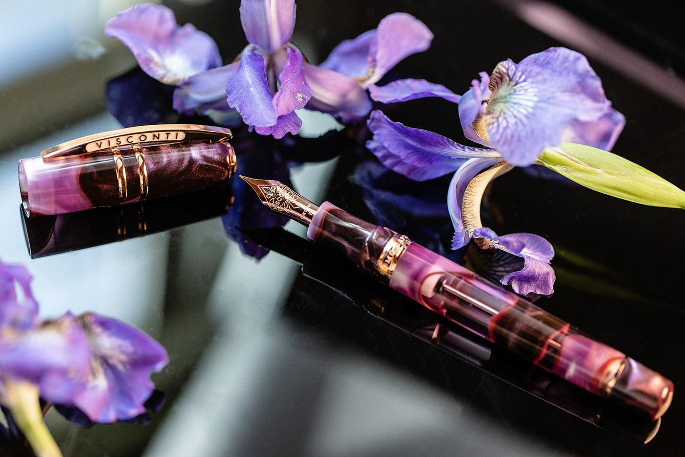 Visconti Homo Sapiens Iris Garden Fountain Pen gold trim