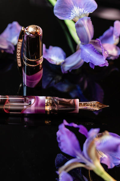 Visconti Homo Sapiens Iris Garden Fountain Pen purple