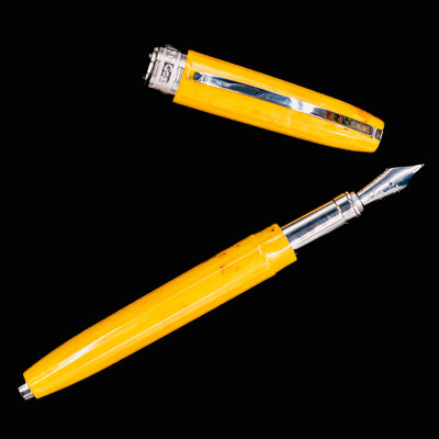 Visconti Van Gogh Sunflowers Fountain Pen displayed with silver nib and bright marbled cap