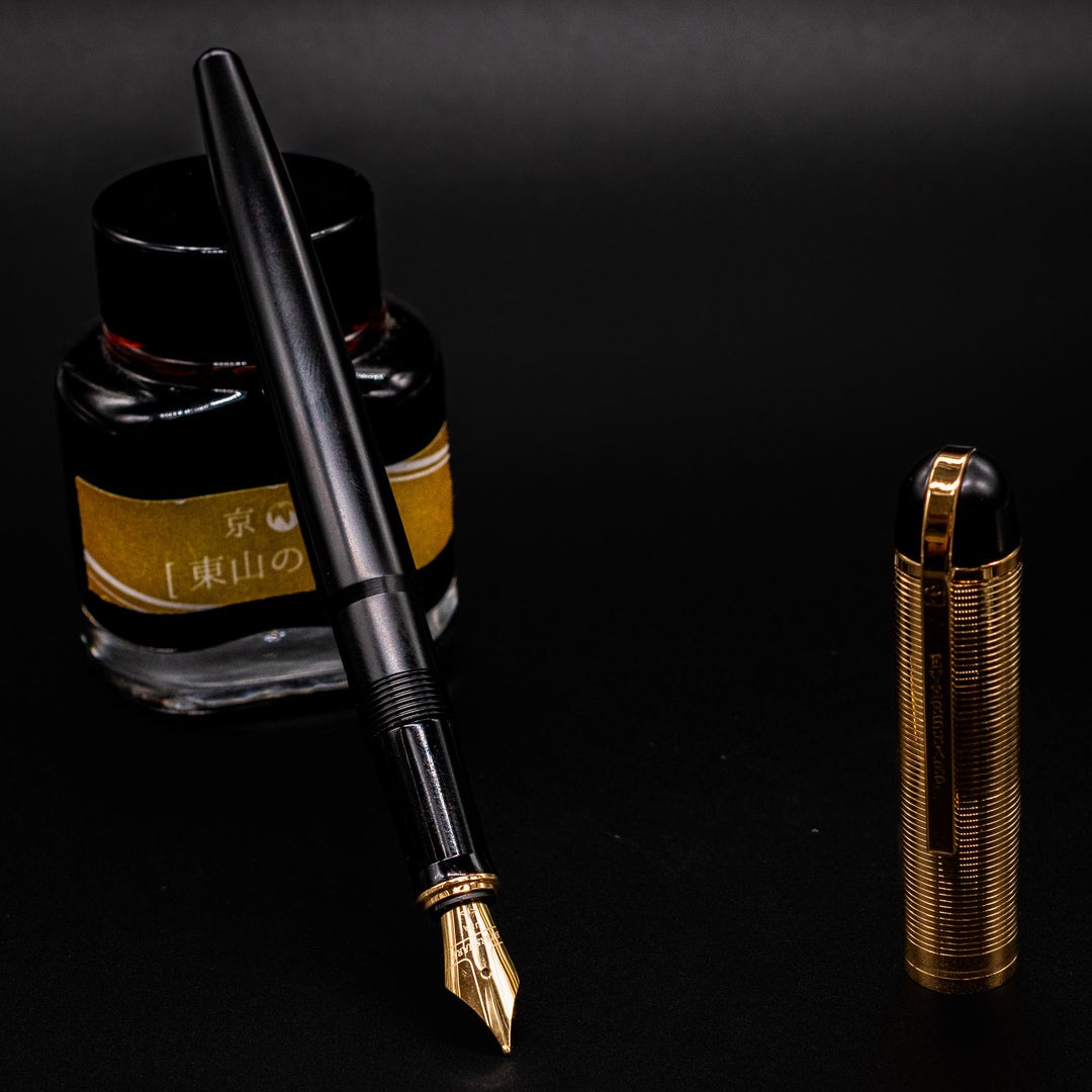 Wahl Eversharp Skyline Fountain Pen - Black & Gold – Truphae
