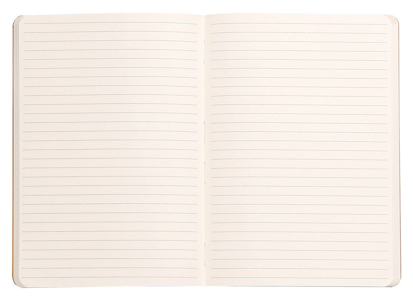 Rhodia Rhodiarama Soft Cover A5 Sage Lined Notebook Paper
