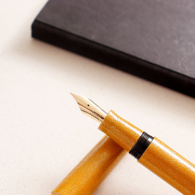 japanese fountain pen