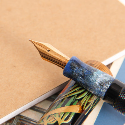 Bottegando-Kingfisher-&-Fish-Fountain-Pen-Nib