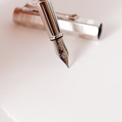 Caran D'Ache Ecridor Variation Fountain Pen