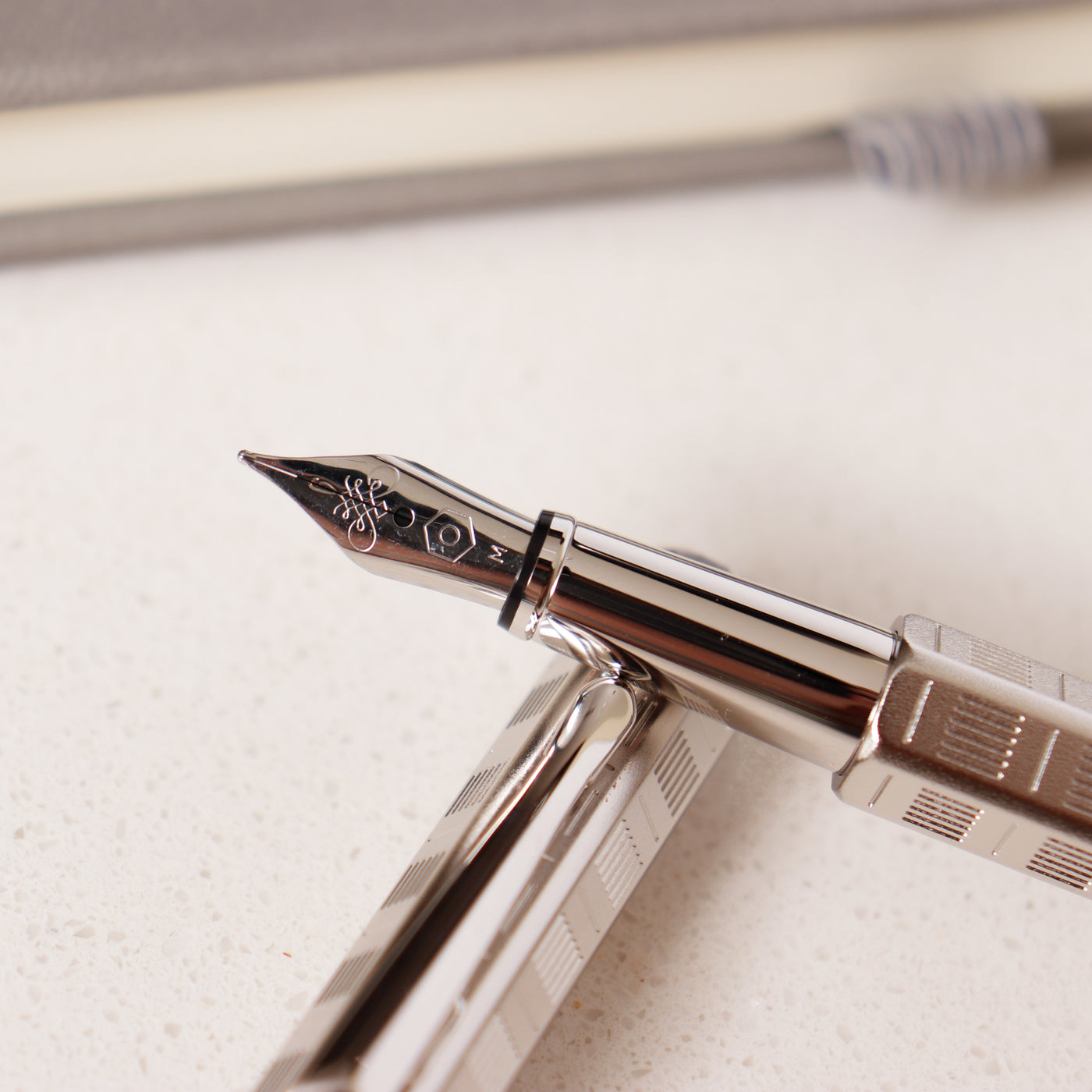 Caran D'Ache Ecridor Variation Fountain Pen