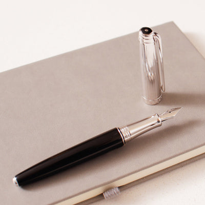 Caran D'Ache Leman V2 Bicolor Black & Silver Fountain Pen