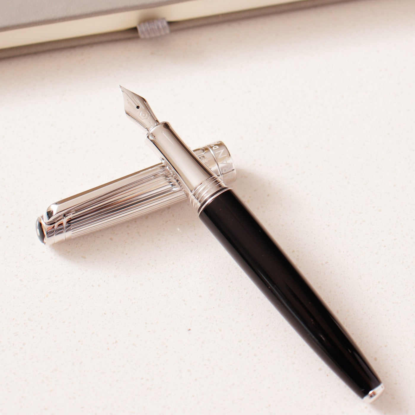Caran D'Ache Leman V2 Bicolor Black & Silver Fountain Pen