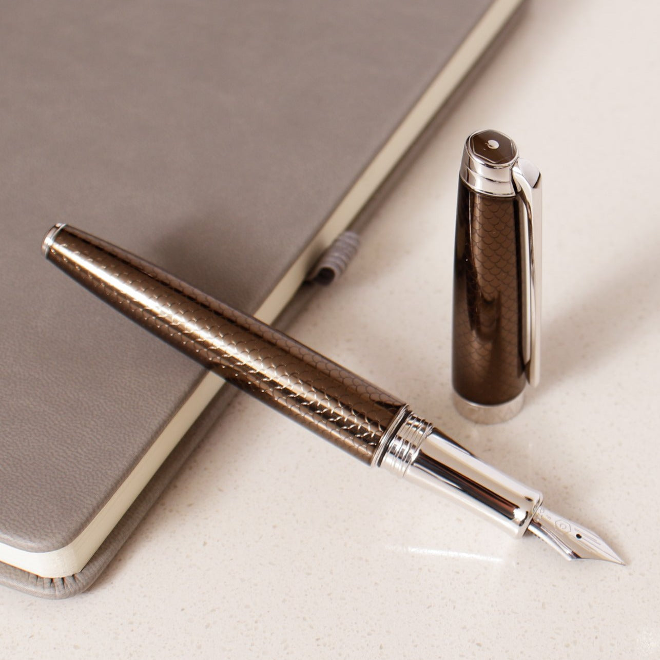 Caran D'Ache Leman V2 Caviar Fountain Pen