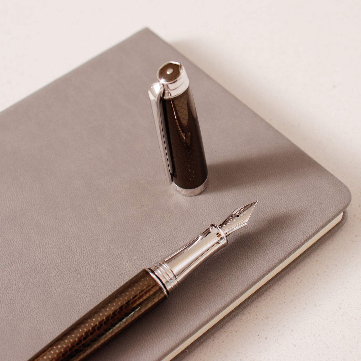 Caran D'Ache Leman V2 Caviar Fountain Pen