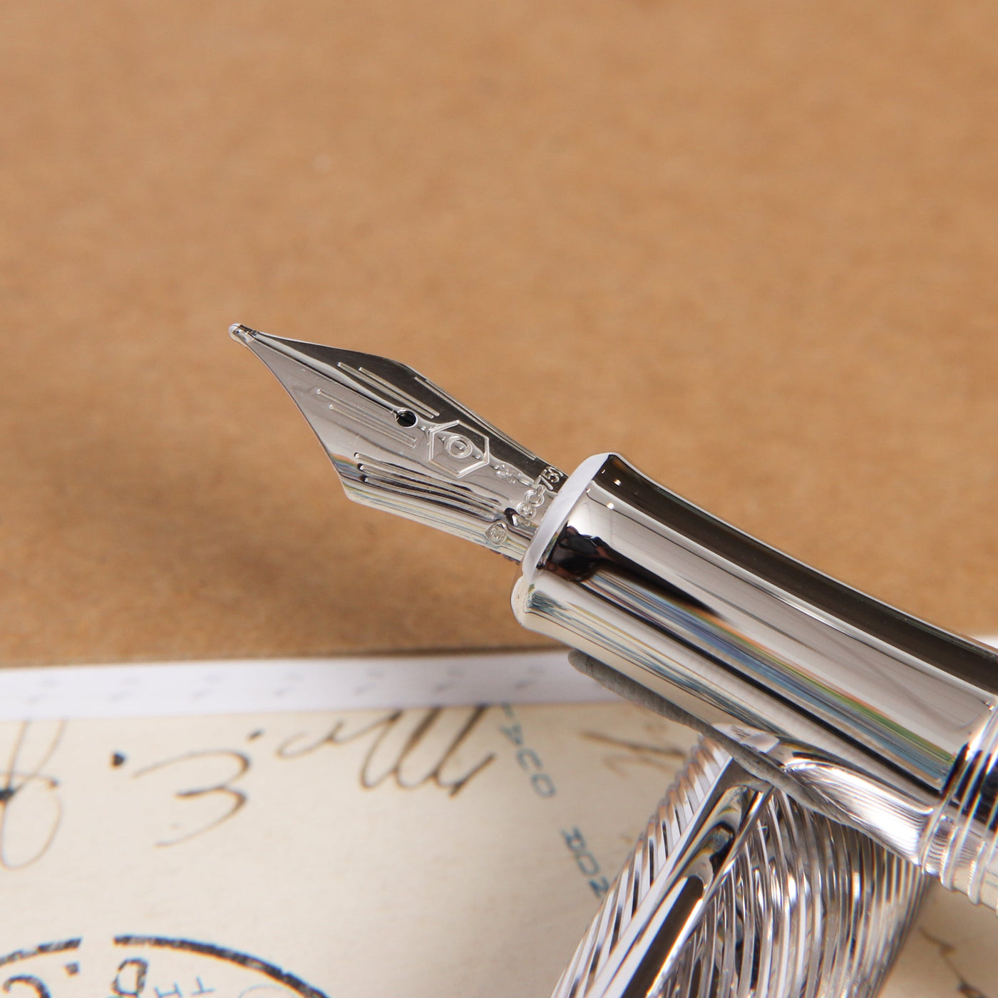Caran d'Ache Terre d'Ombre Fountain Pen Nib