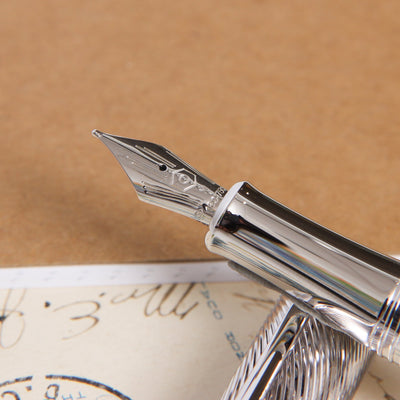 Caran d'Ache Terre d'Ombre Fountain Pen Nib