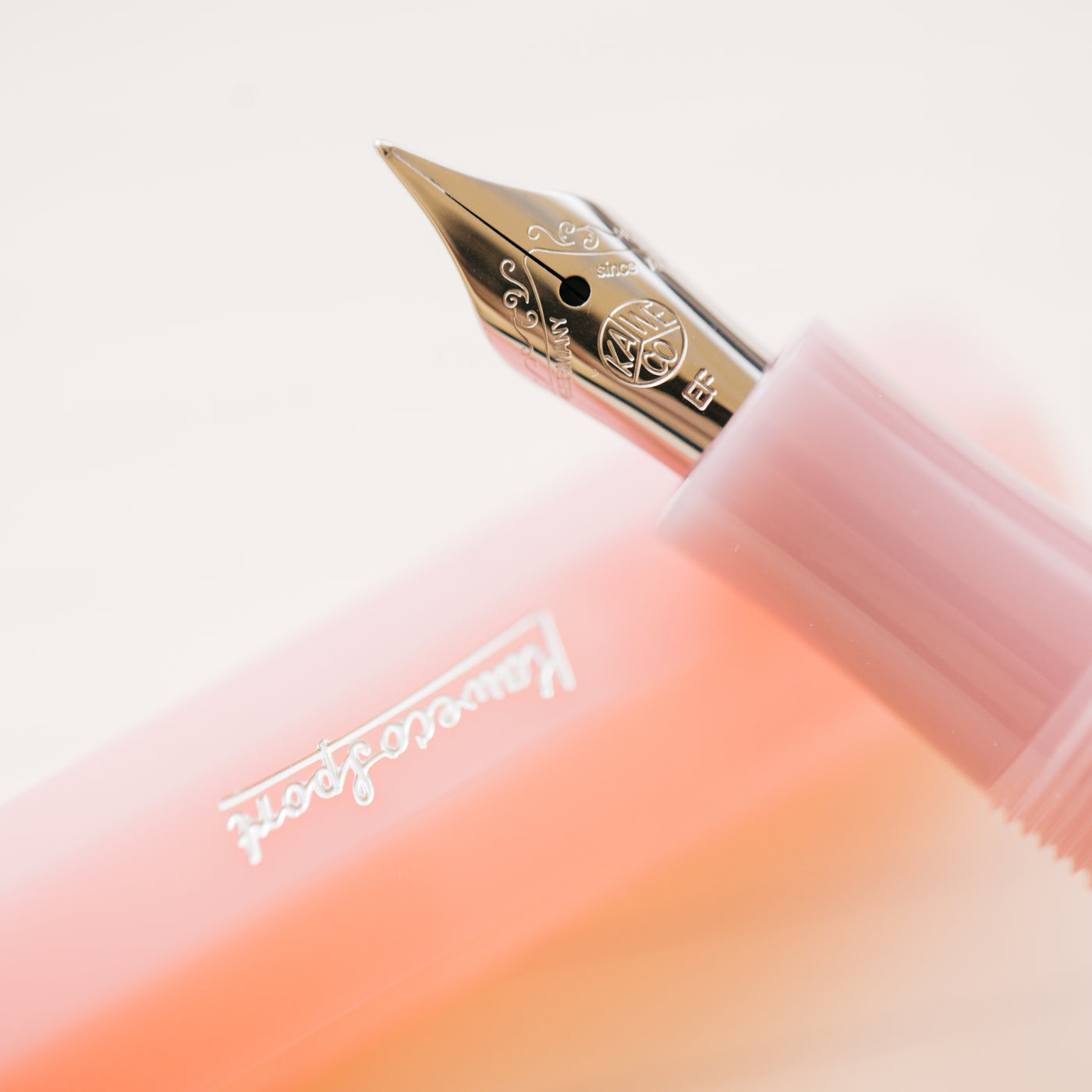 Kaweco Frosted Sport Blush Pitaya Fountain Pen