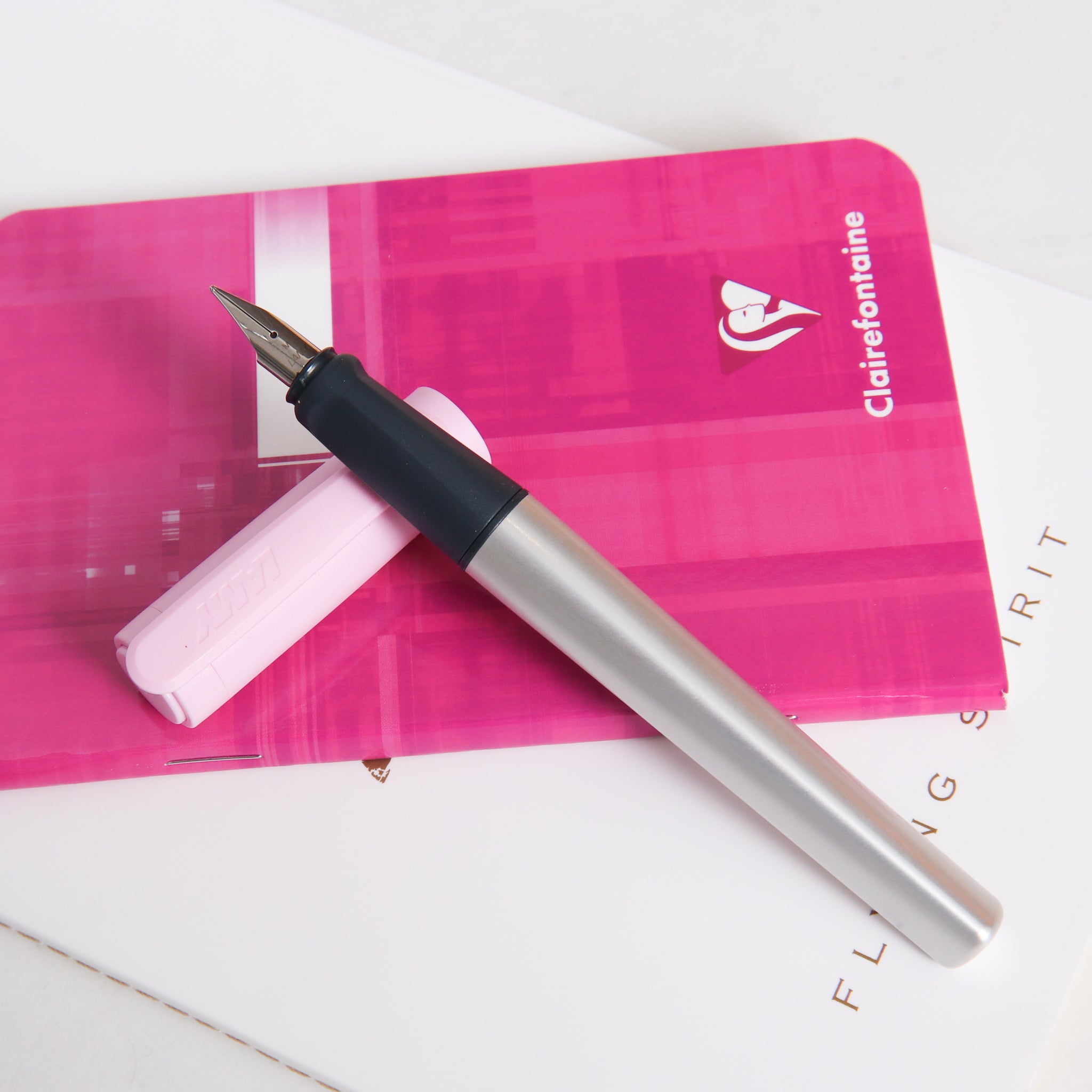LAMY Nexx Rose Fountain Pen | Stainless Steel Nib – Truphae