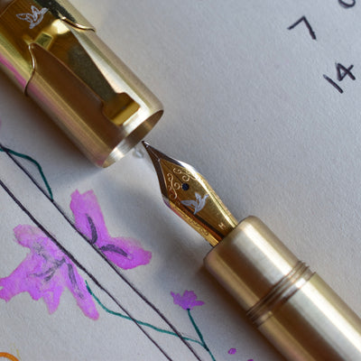Loclen Electa Fountain Pen