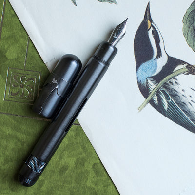 Loclen Electa Fountain Pen