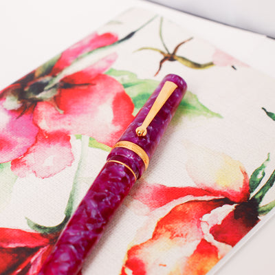 Maiora Aventus Deep Purple Fountain Pen