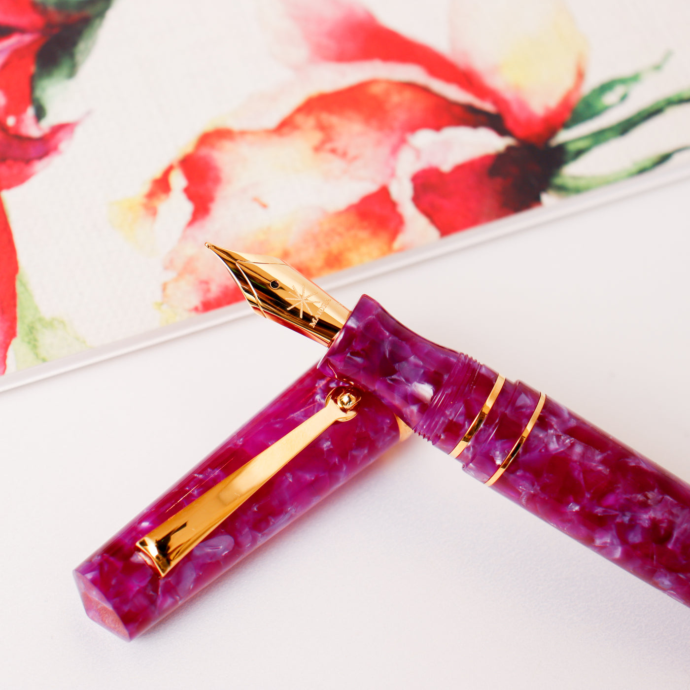 Maiora Aventus Deep Purple Fountain Pen