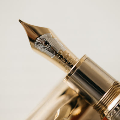 Montblanc Writer's Edition Homer 1581 Fountain Pen