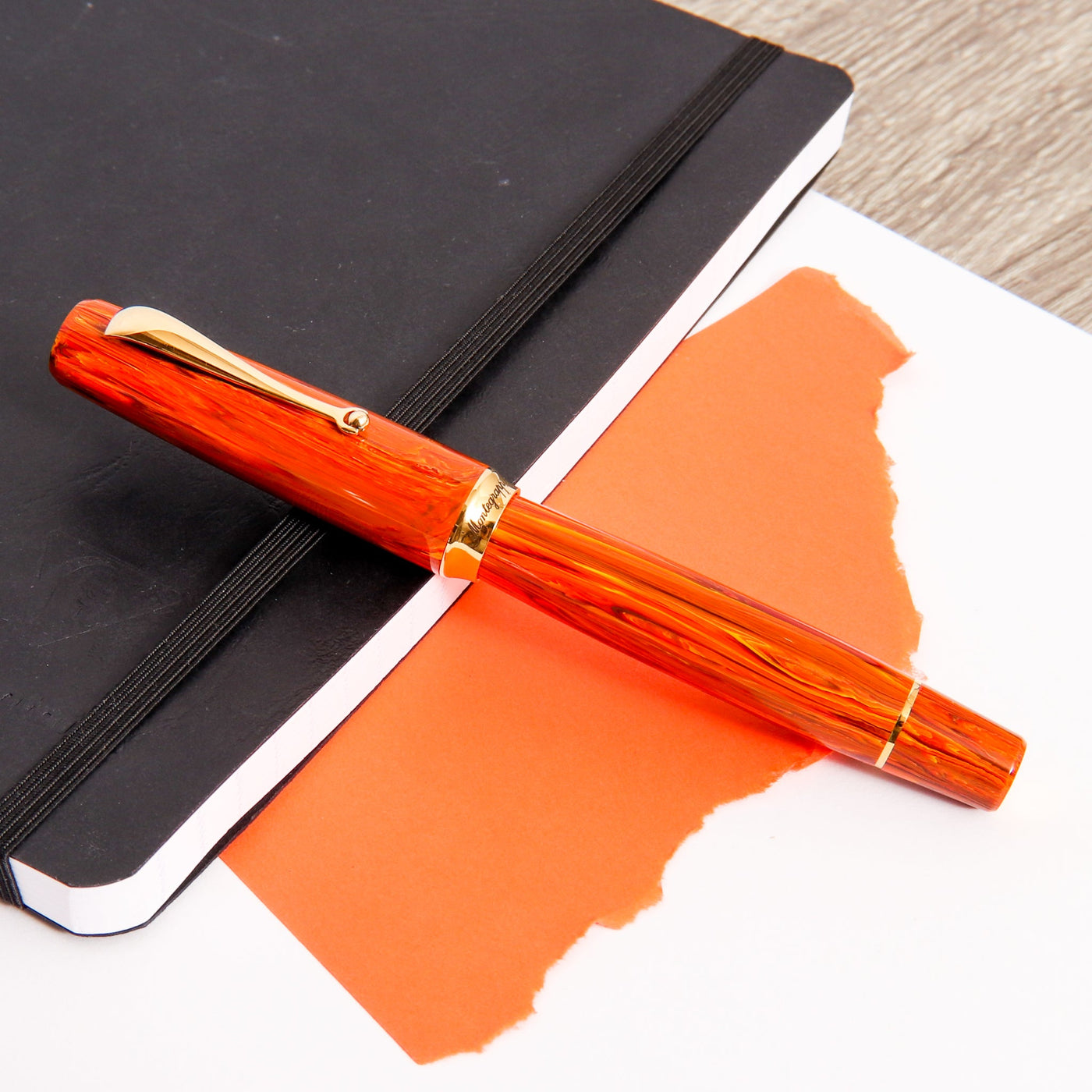 Montegrappa-Ammiraglio-Leo-Fountain-Pen-Capped