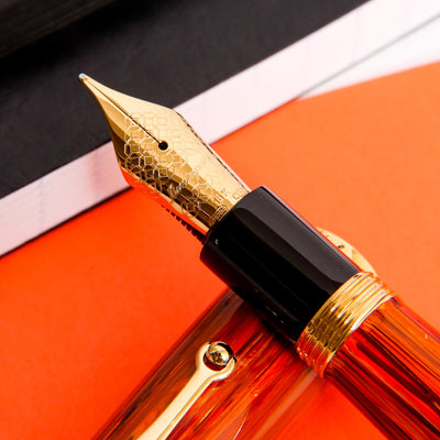 Montegrappa-Ammiraglio-Leo-Fountain-Pen-Nib