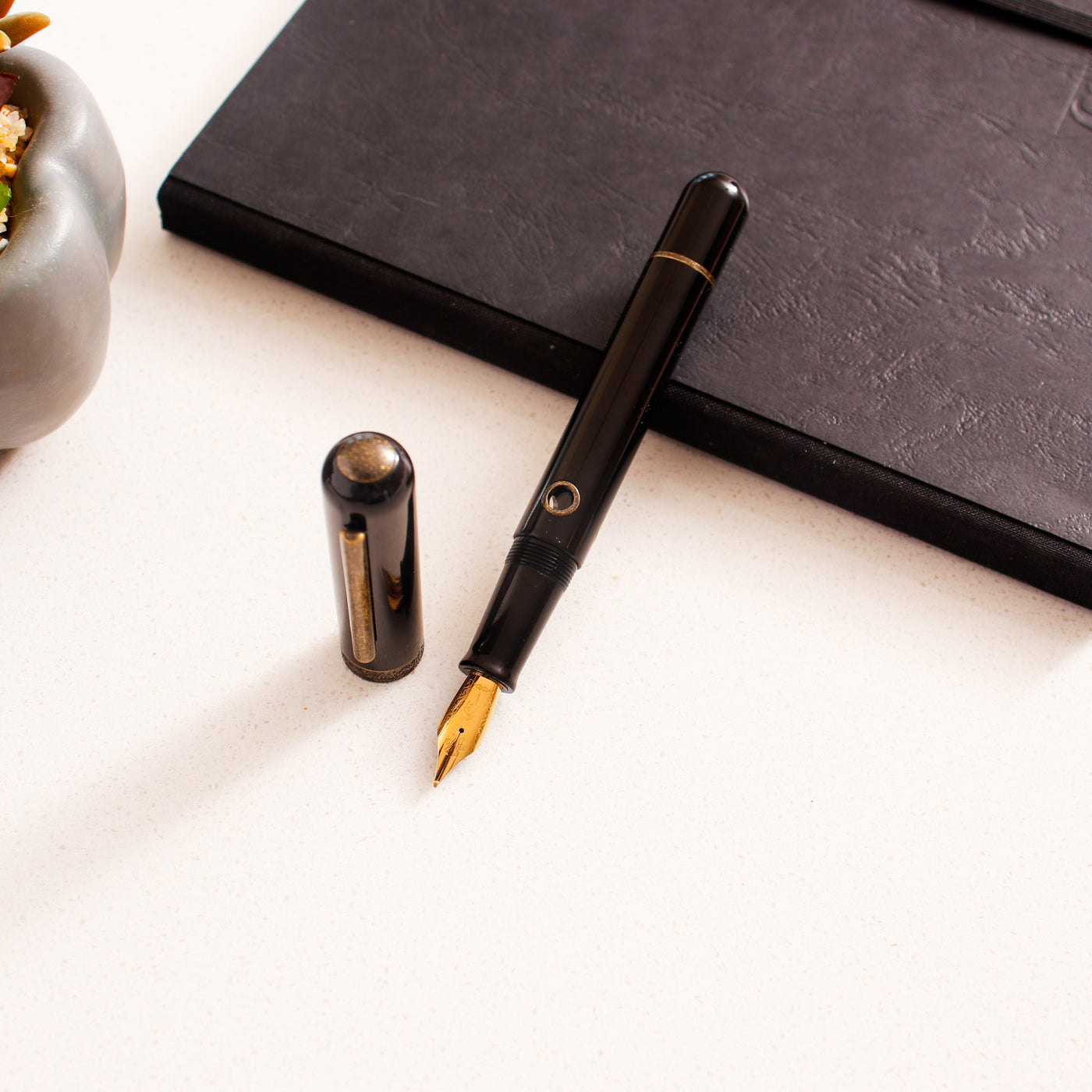 Narwhal Nautilus Bronze Corydoras Fountain Pen