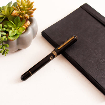 Narwhal Nautilus Bronze Corydoras Fountain Pen