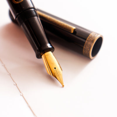 Narwhal Nautilus Bronze Corydoras Fountain Pen