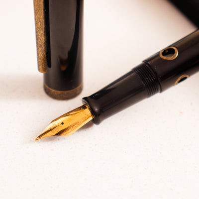 Narwhal Nautilus Bronze Corydoras Fountain Pen