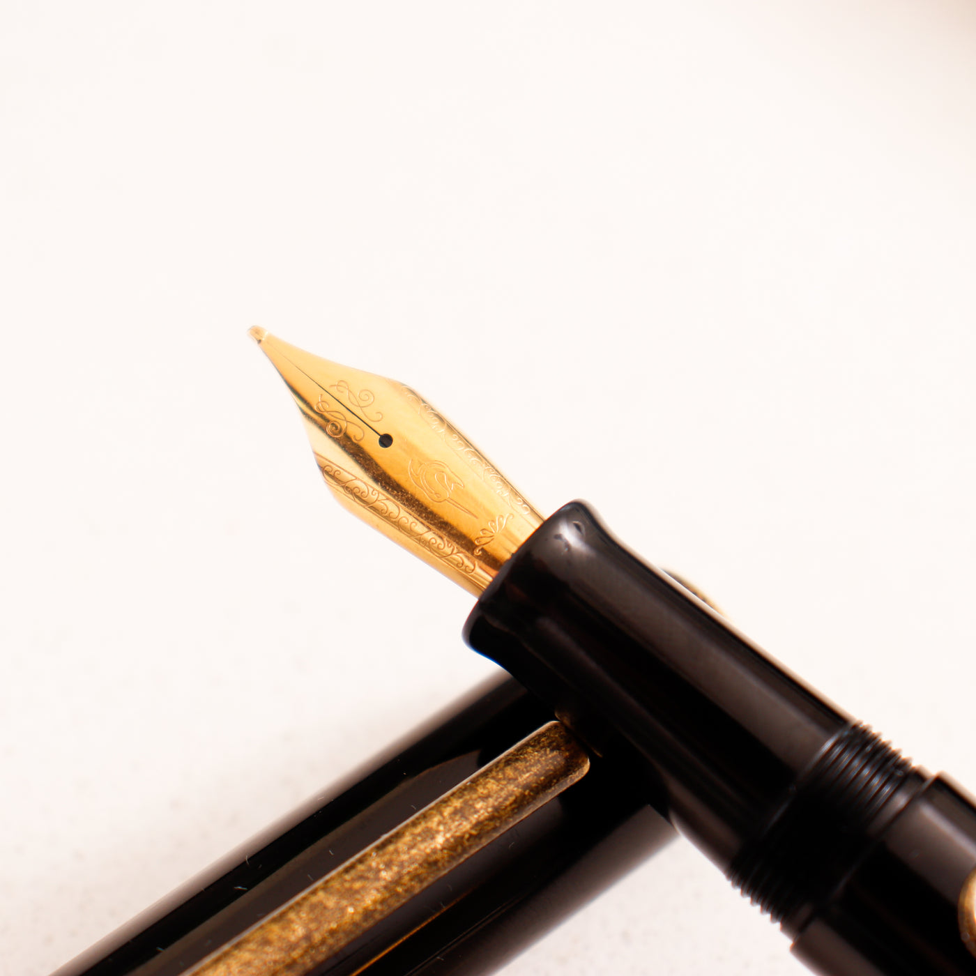 Narwhal Nautilus Bronze Corydoras Fountain Pen