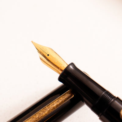 Narwhal Nautilus Bronze Corydoras Fountain Pen